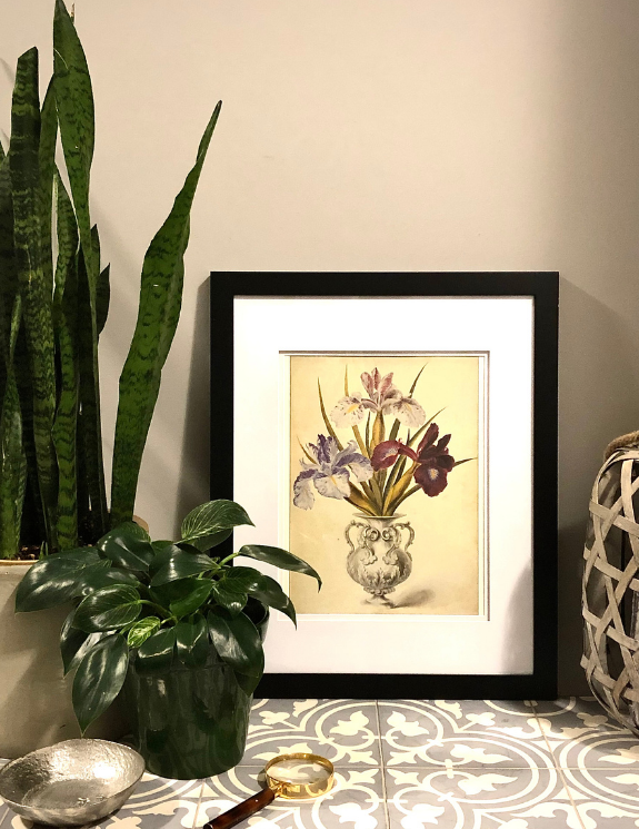 ITALIAN URN IRIS PRINT