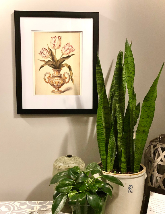 VINTAGE ITALIAN TULIP URN PRINT